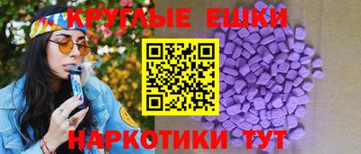 шишки Дубна