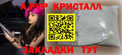 шишки Дубна