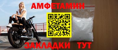 шишки Дубна