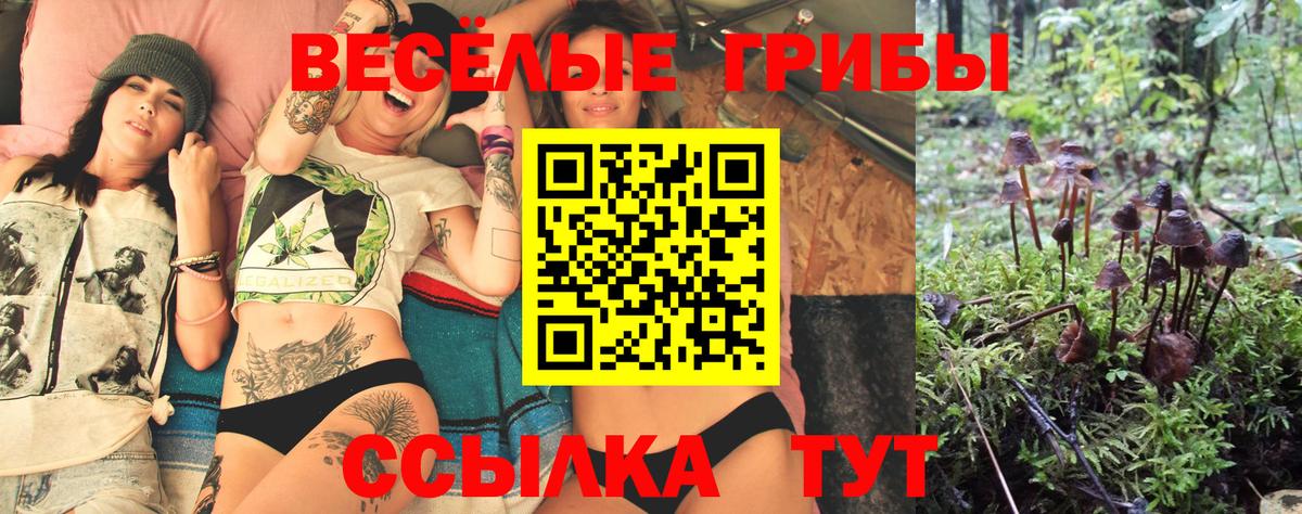 Галлюциногенные грибы Magic Shrooms Майкоп